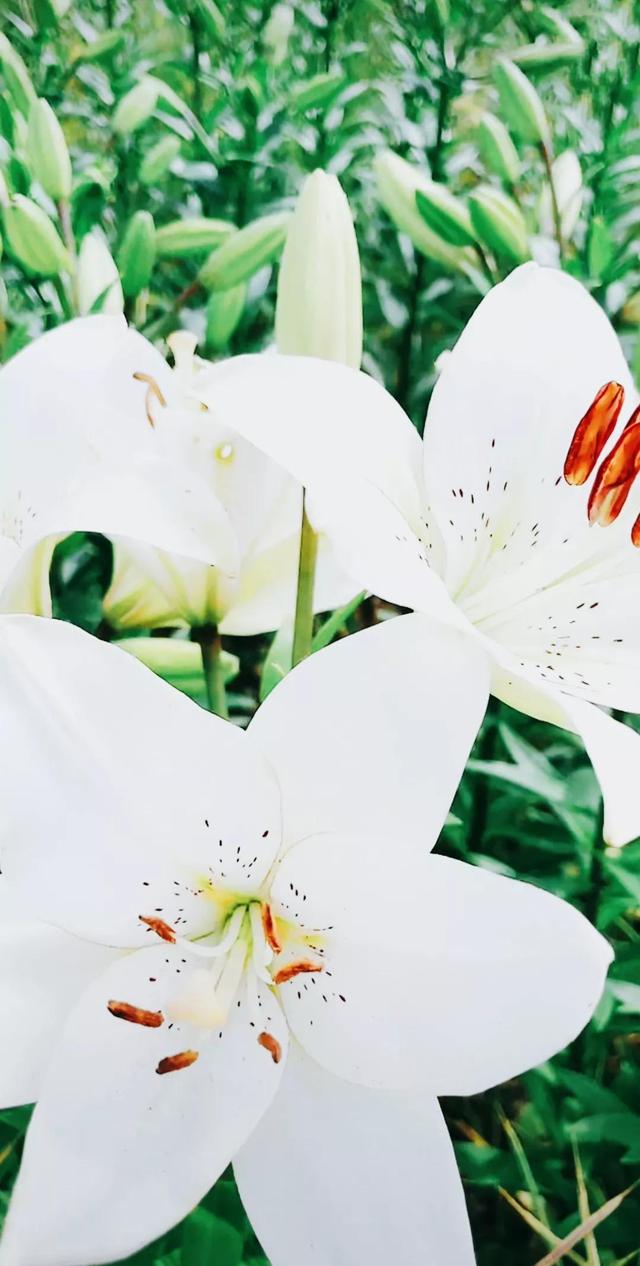 努力的意义是什么，努力的意义是什么图片（女人努力的意义是什么）