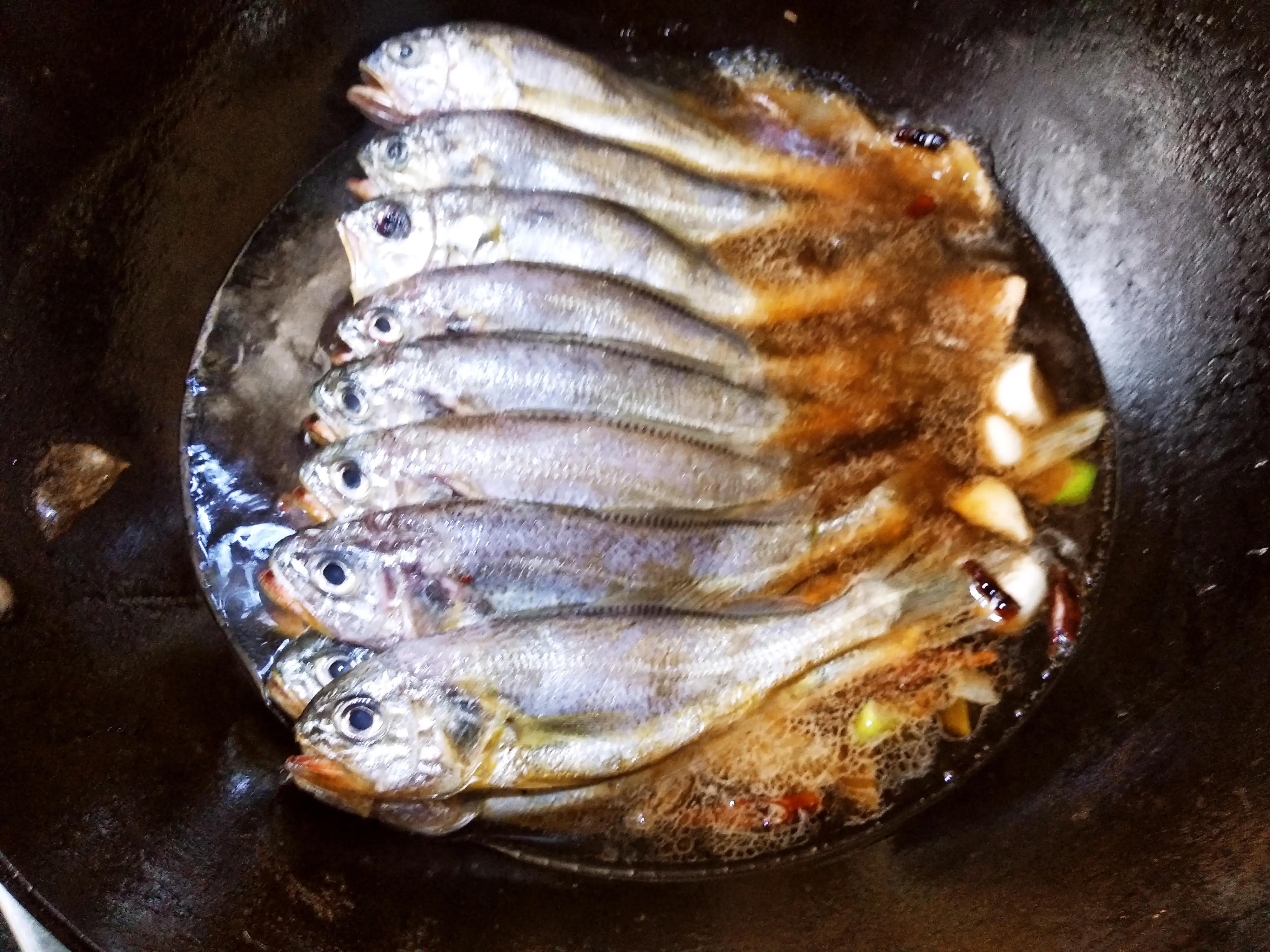 淡水红鲳鱼价格多少钱一斤(冬天吃海鱼) - 去钓鱼