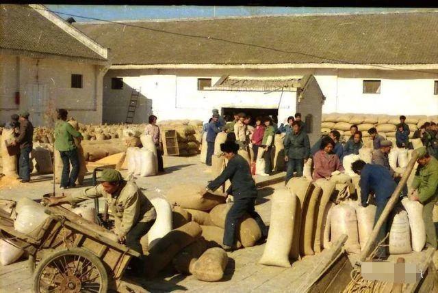农村取消公粮是哪一年，农民什么时候取消交公粮（5060年代农村要交公粮）