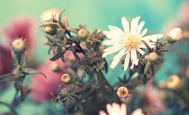 温柔的人是什么样的，性格温柔的女人是怎样的（温柔的人，很难让人不爱）