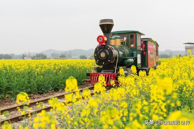 潼南旅游景点，马龙山（3月重庆最大的油菜花海—潼南崇龛油菜花赏花踏青“避坑”指南）