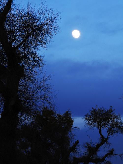 2,散文:曾经的拥有,是一种感伤,也是一种美丽