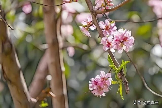 情侣日常聊天套路情话，情侣日常聊天套路情话短句（常说以下这4句话）