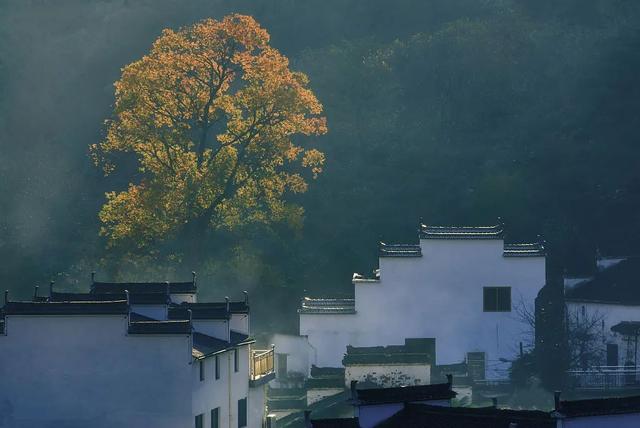衤字旁的笔顺视频，衣字的笔顺怎么写（白露，露从今夜白，月是故乡明）