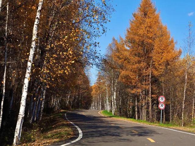 伊春市内旅游风景区有哪些，黑龙江伊春市十个值得推荐的旅游景点