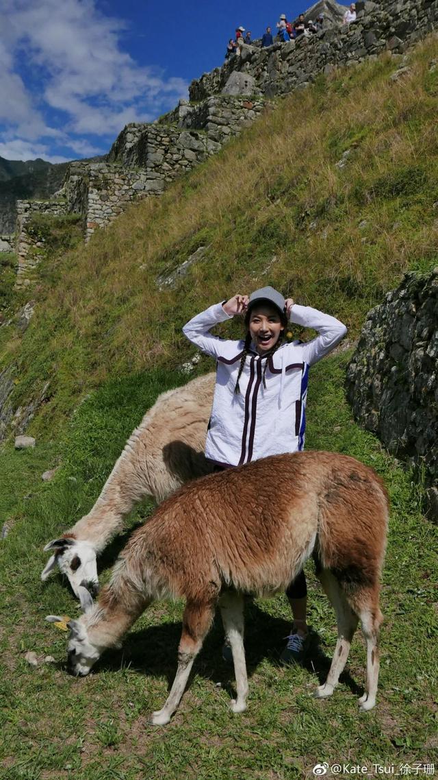 点金胜手大结局，点金胜手结局（我终于知道观众有多恨她）