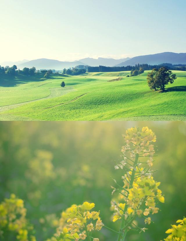 怎么把几张照片拼在一起，手机如何将多张照片拼接在一起（如何将两张图片合成一张）