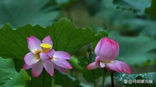 外汇理财产品怎么买，外汇理财产品怎么买卖（外汇的投资方法有哪些）