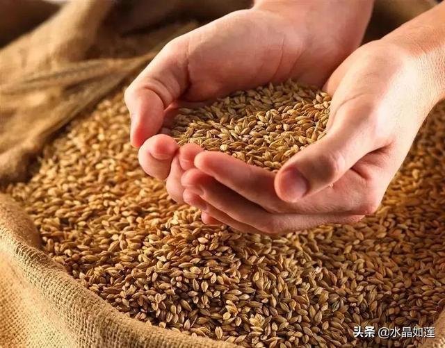 10种代表春天的动物，春天的动物有哪些（塞北动植物们话辛丑牛年时节）