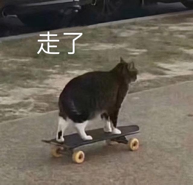 一些幽默诙谐的经典语录，幽默的经典语录（一看就很沙雕搞笑的句子）