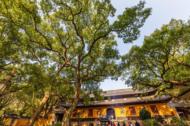 普陀山在哪里，普陀山在哪里坐船（走进普陀山）