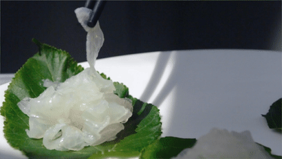 沙堤机场是什么地方，沙堤机场是什么地方靠近哪里（广东佛山机场要改造了）