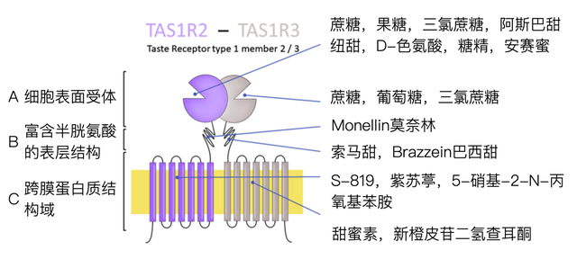 糖，不那么伟大的作品