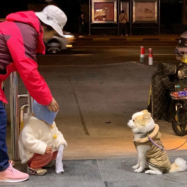 ddl是什么意思(网络语ddl是什么梗)，ddl是什么意思（拖延症脱单还得靠ddl）