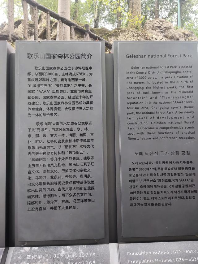 歌乐山森林公园，重庆旅游必去景点（歌乐山国家森林公园）