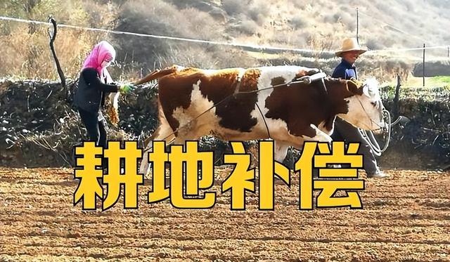 一公顷等于多少亩地，1公顷等于多少亩（一亩地到底有多大）