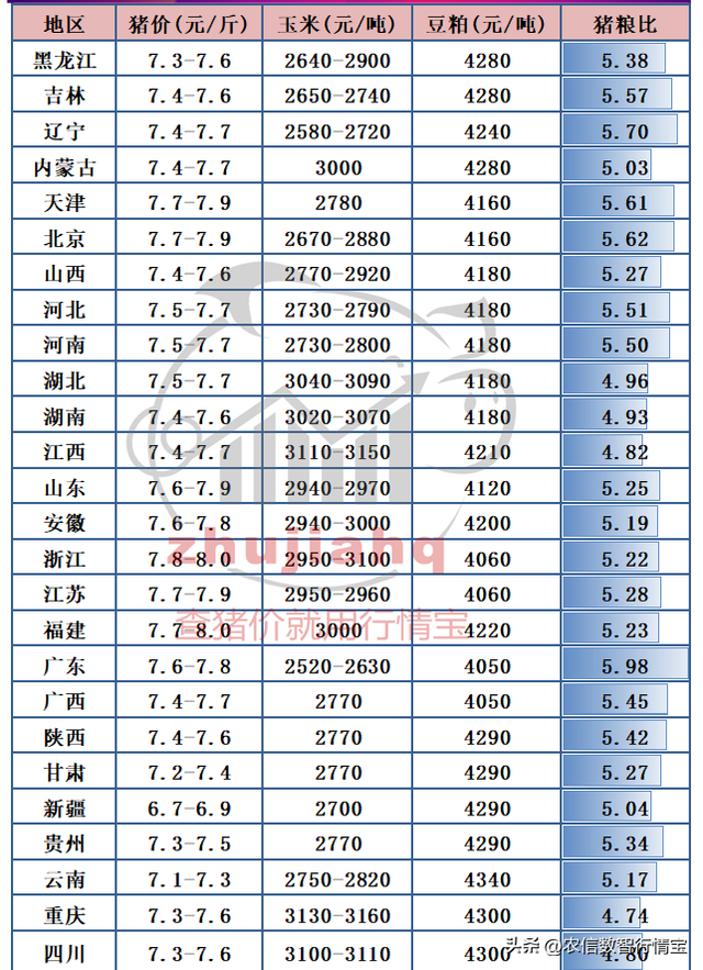 现在生猪价格如何，现在生猪价格如何走势（26生猪价突飞猛进）