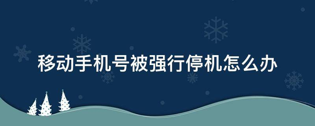 手机停用了怎么恢复正常，手机停机了怎么恢复（不要慌，请拨打10086）