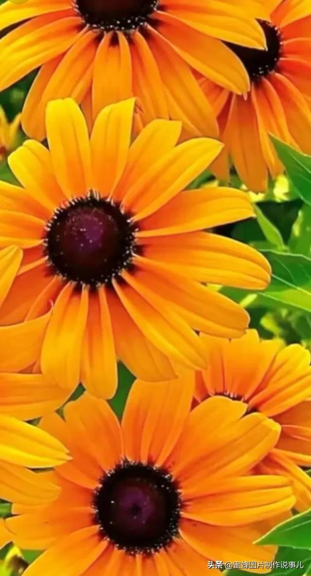 莺歌燕舞是什么季节，柳绿花红莺歌燕舞是什么季节（百花争艳的季节）