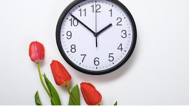 荷兰时间现在几点,现在荷兰时间几点钟(这个周日时钟调快1小时)