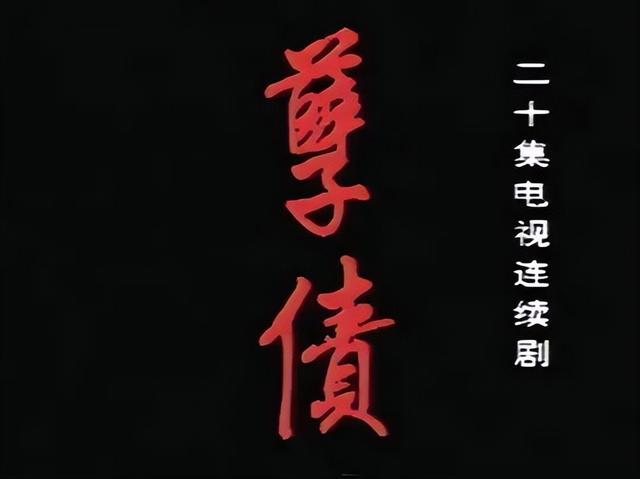 杨烁主演的电视剧全部，杨烁主演电视连续剧（这是我心中近30年最好的10部年代剧）