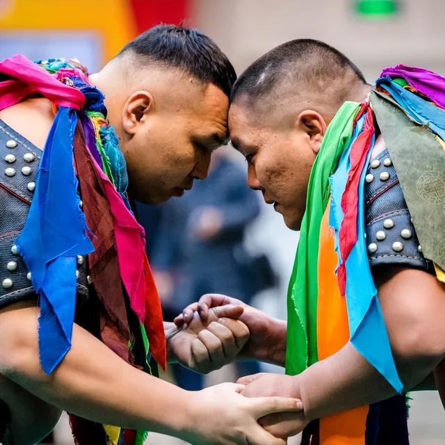 那达慕大会是哪个民族的节日，那达慕大会是什么族的（青海这里的那达慕大会）