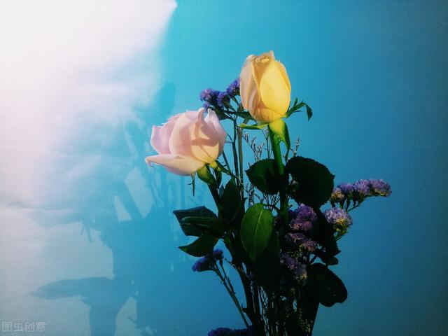 一日三餐四季情话，一日三餐四季情话下联（一屋两人）