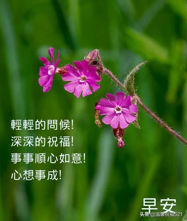 给老板的祝福语，给老板的祝福语四字（给老板道声好）