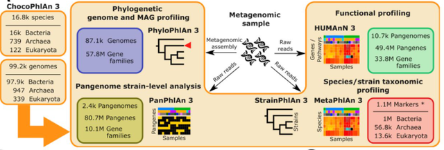 ensemble数据库，ensemble数据库介绍（宏基因组数据库ChocoPhlAn3的巧妙设计）