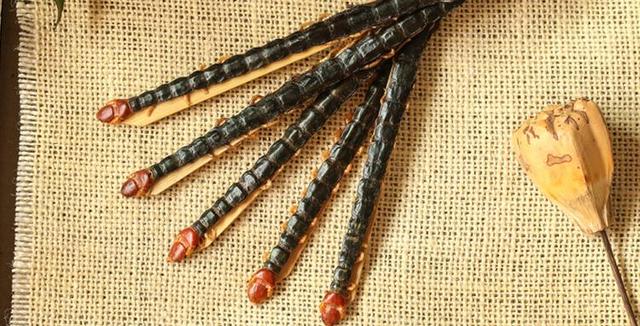 蜈蚣又名吴公,天龙,百脚,百足虫,千足虫等.辛,温,有毒.归肝经.