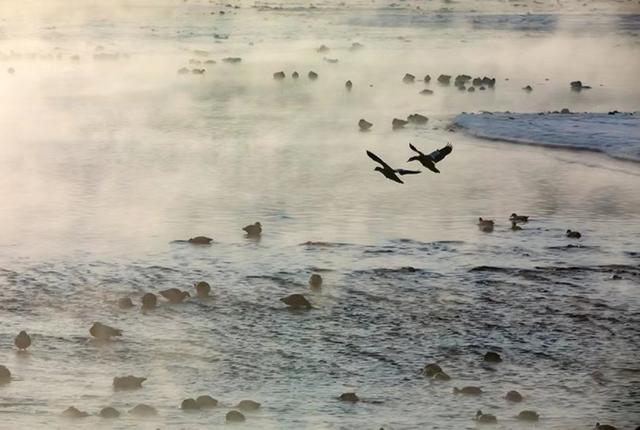 灵魂伴侣的真正含义，灵魂伴侣是什么意思（才能叫做“灵魂伴侣”）