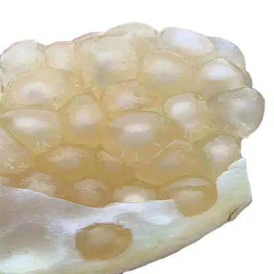 石榴品种哪种最好，什么品种的石榴好种（中国最好吃的石榴前五名）