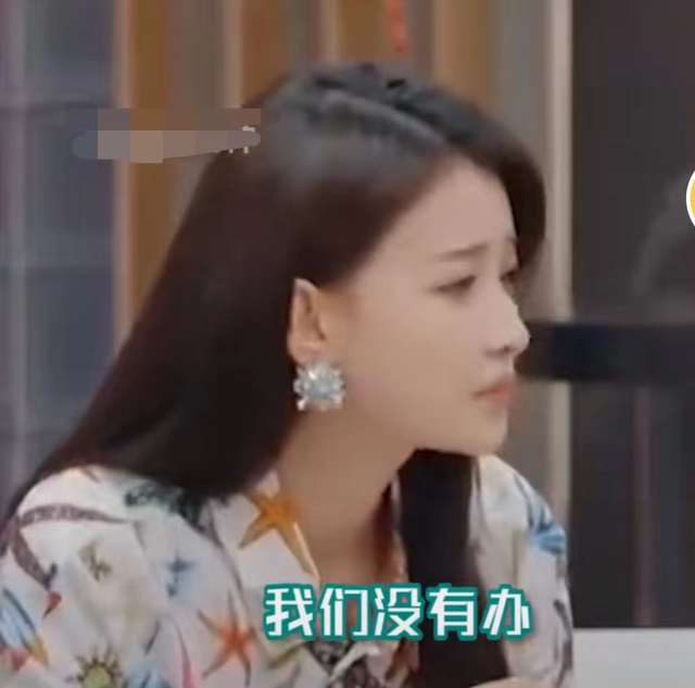 孙怡有孩子了吗，董子健和孙怡有了孩子吗（豪宅内被打满马赛克）