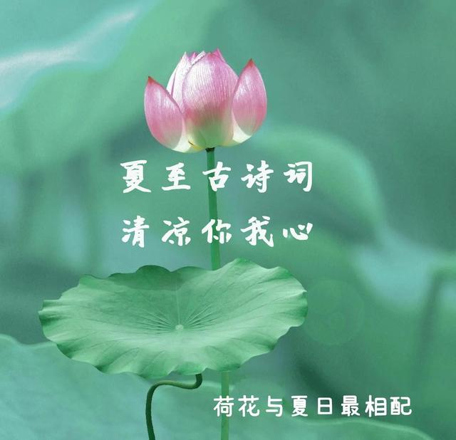 夏至的古诗四句 关于夏至的诗句古诗，夏至的古诗四句（夏至里的最美古诗词）