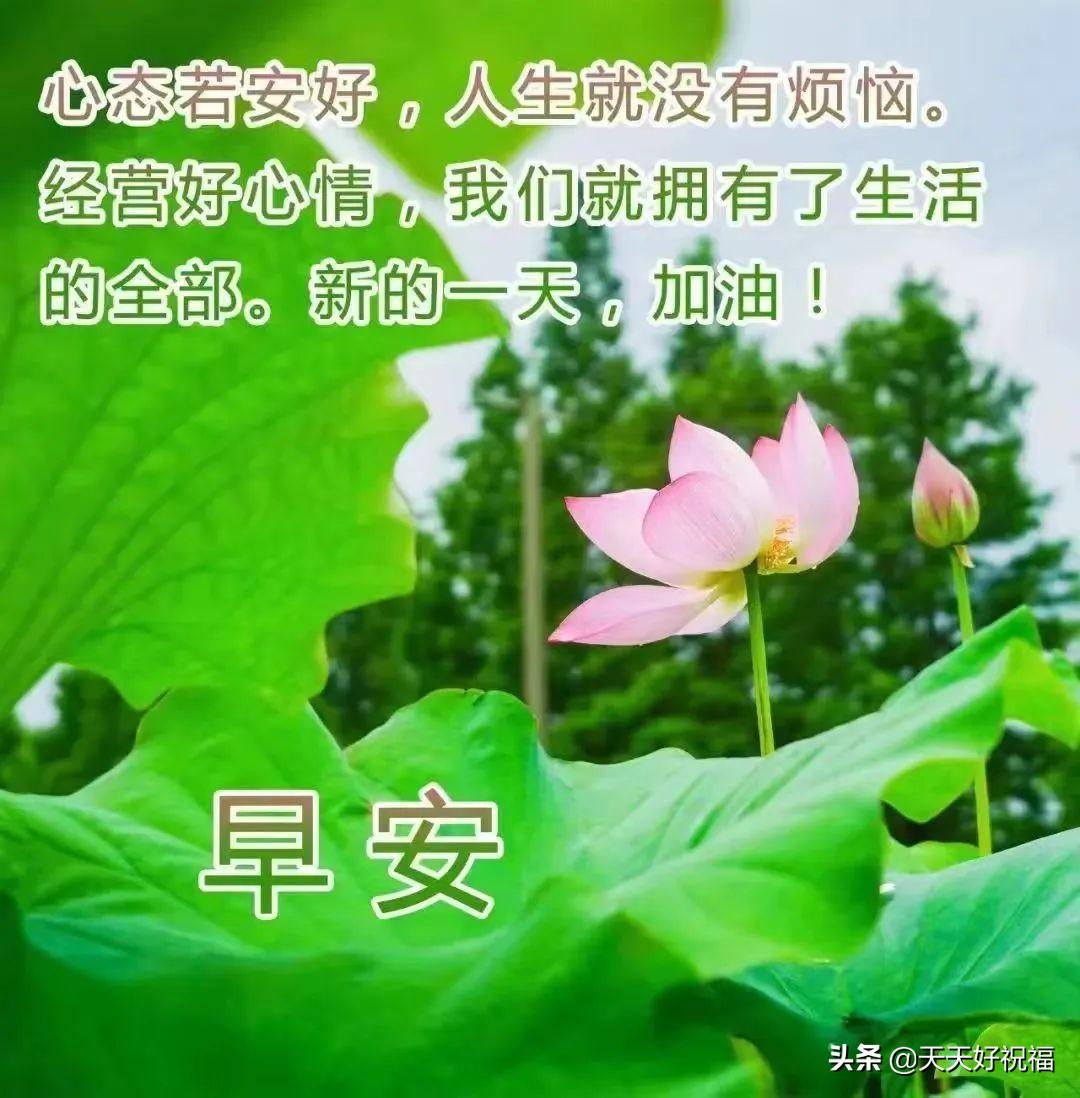 珍惜亲情的句子，珍惜亲情可贵的句子（感恩今生相遇的人。早上好）