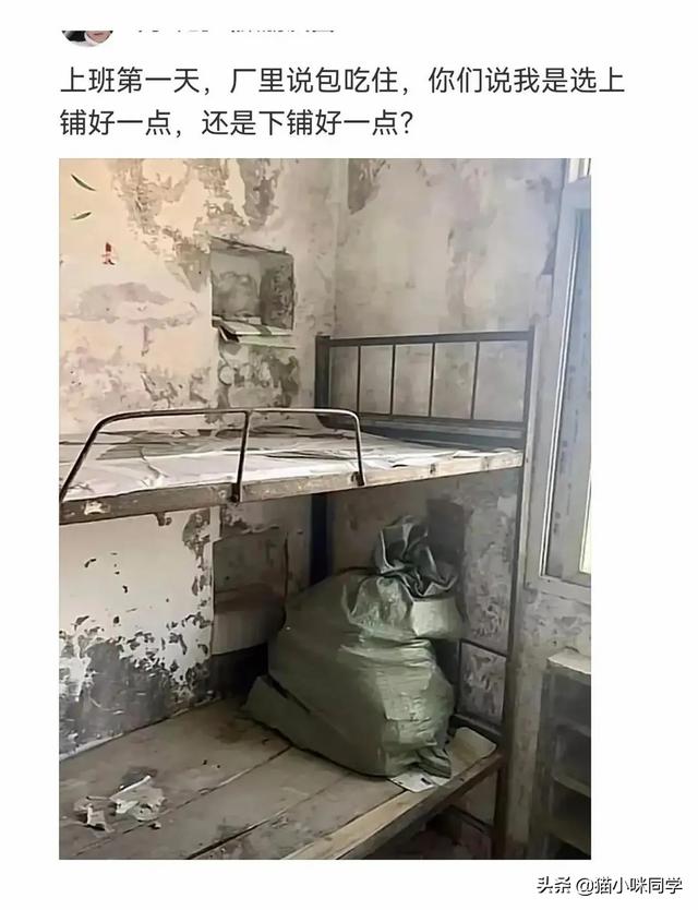 壁虎能长多大，为什么家里有壁虎一定要打死（“以为买了个壁虎）