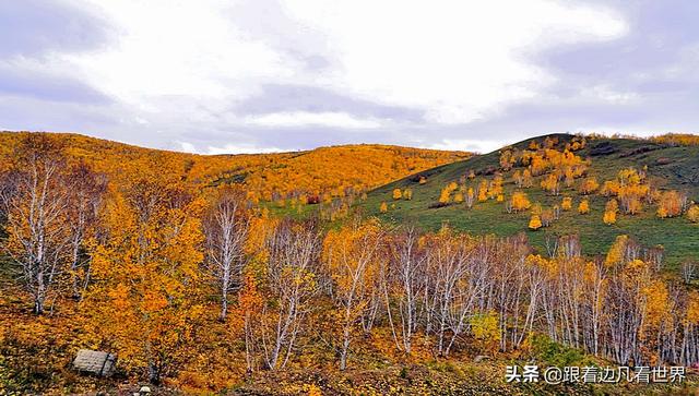 阿尔山的风景，《走进内蒙》景色迷人