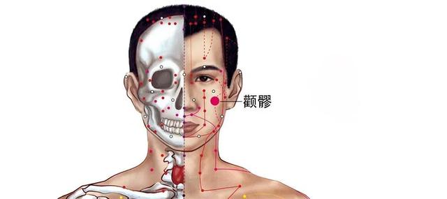  颧髎怎么读，清热消肿、息风止痉—颧髎穴