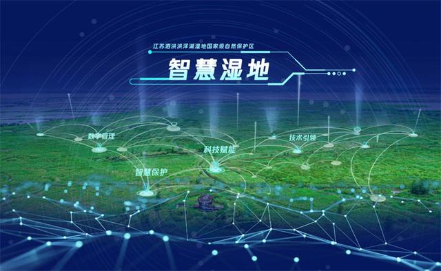 江苏洪泽湖湿地自然保护区，江苏泗洪洪泽湖保护区万鸟翔集