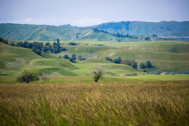 古代乌孙国是现在哪个国家，乌孙古国在哪里（西汉解忧公主和亲的新疆古国）