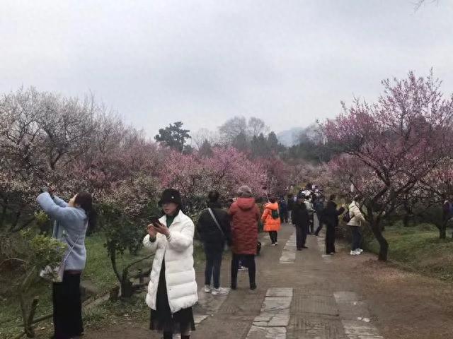 时隔三年，南京迎来首个香港入境旅游团