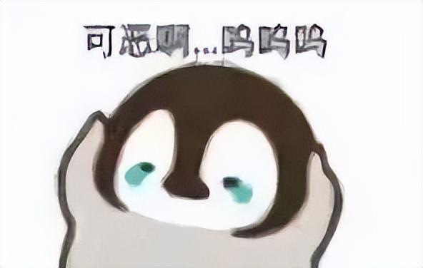 好看的表情包(10000种表情包图片大全)