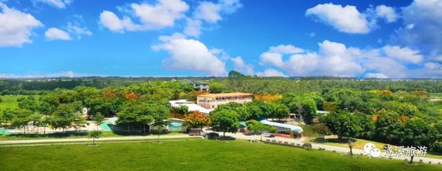 2022湛江旅游攻略，一个风光秀美的海滨城市（广东湛江：嗨翻一“夏”）