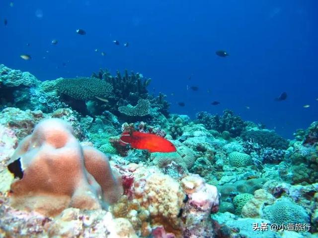 西沙群岛旅游行程，三亚到西沙群岛4日游行程分享