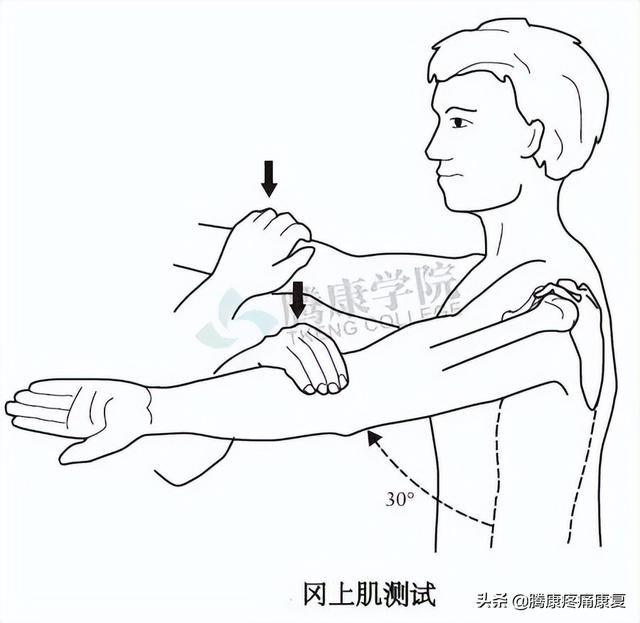biceph，肩关节的特殊检查（bicep curl）