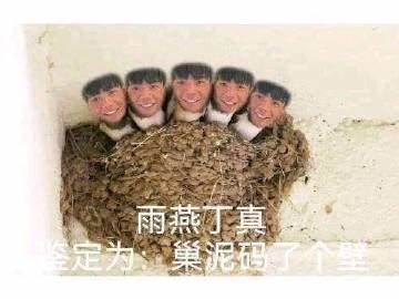 丁真是什么梗，丁真是什么梗雪豹（品鉴汉语言博大精深的魅力）