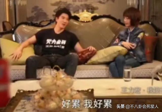 王力宏刘亦菲电影，王力宏与刘亦菲电影（王力宏5大恶臭黑历史）