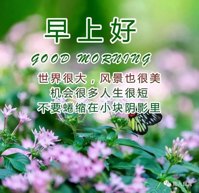 早晨的句子发朋友圈图片，适合早上发朋友圈的句子和图片（早上好祝福问候正能量语录）