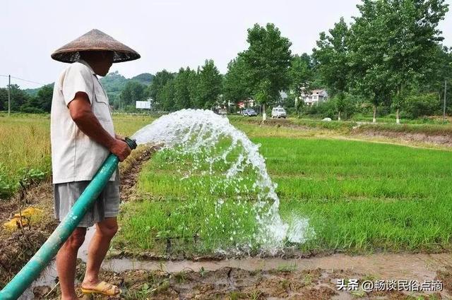 关于下雨的农谚或俗语，关于下雨的农谚或俗语有哪些（农谚：“十月水上田）