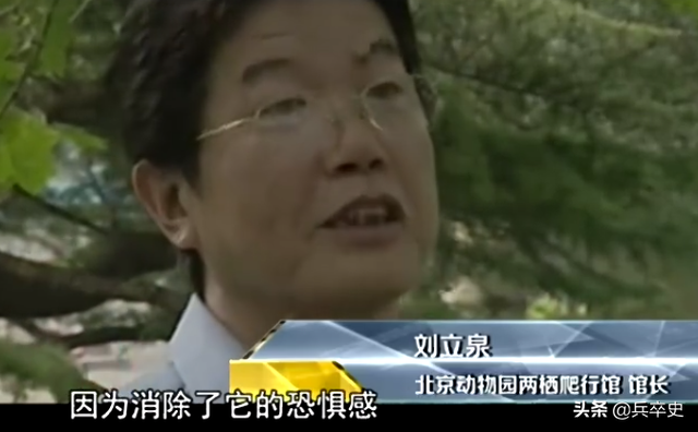 北京动物园百米巨蟒，太平洋底惊现百米巨蟒（海南巨蟒为报恩甘当“保镖”）